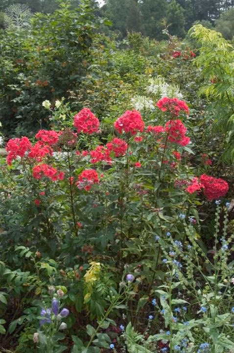 ae8b13254ca8bddf6a902e8fda9175ef