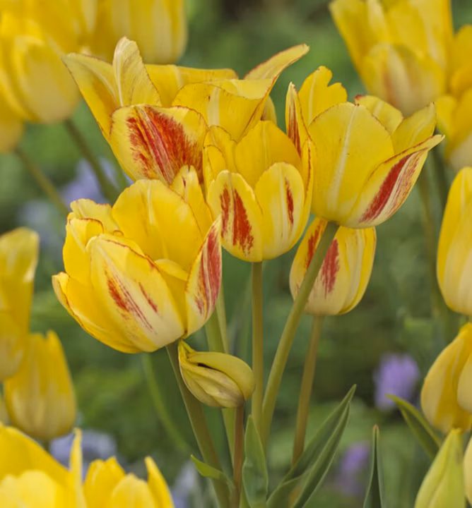 aea72ece585aa96476eddd753a9d7ce9