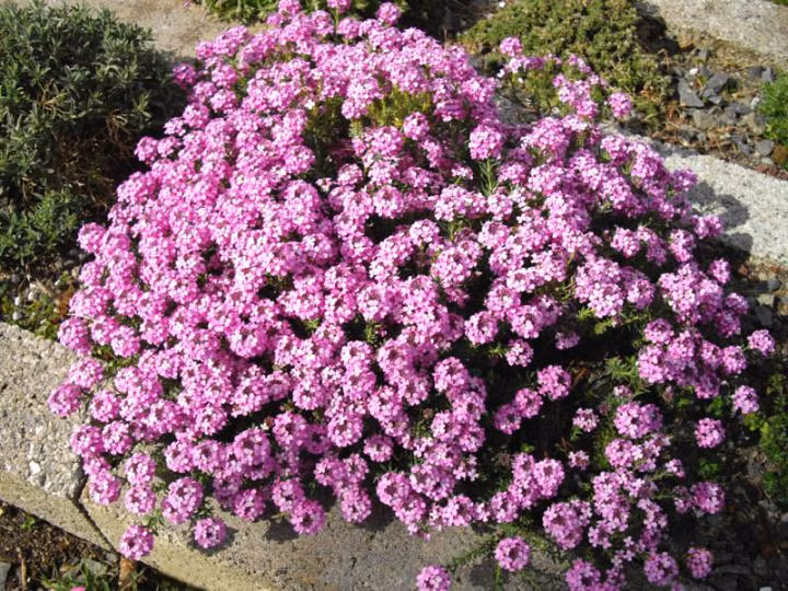 aec9cc71f7d9eb99d06f612ce1ca331c