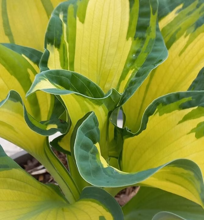 aed5294e2c486acb87ac59c980fac639