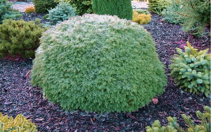 af3c5188b33f749c27c3ab3ac082ae07