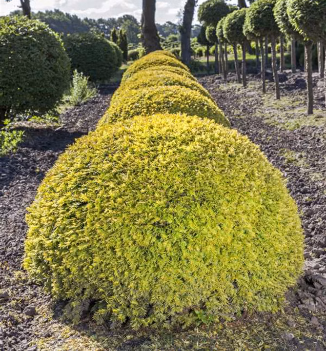 af48bf67bdfea19657390b4aa884b3f8