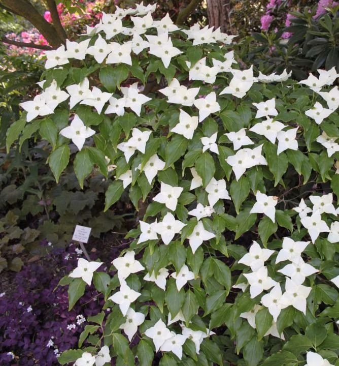 af52ef170e421cd4ea0889442fe1280c