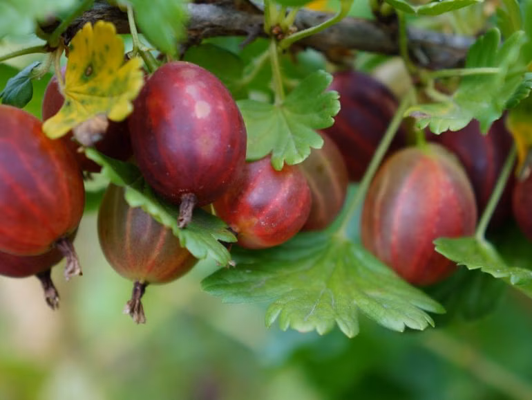 af9a34290d65c3f18fcc33d9d20d0ed2