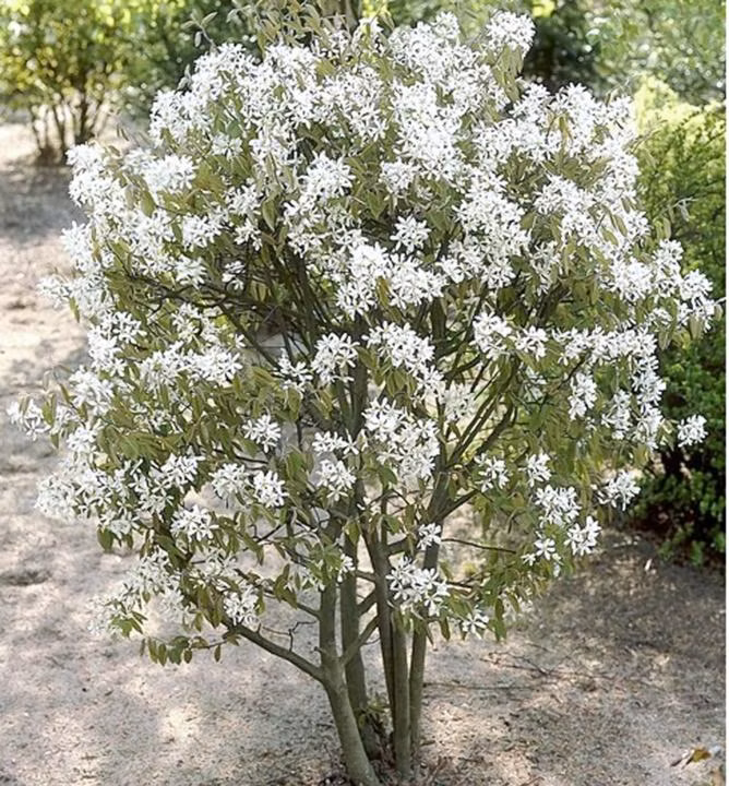 aff9cefac23a30071b6672a880e88d4d