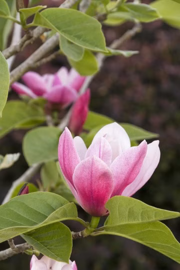 b014b6f00efdb1c16bd433f67d342106