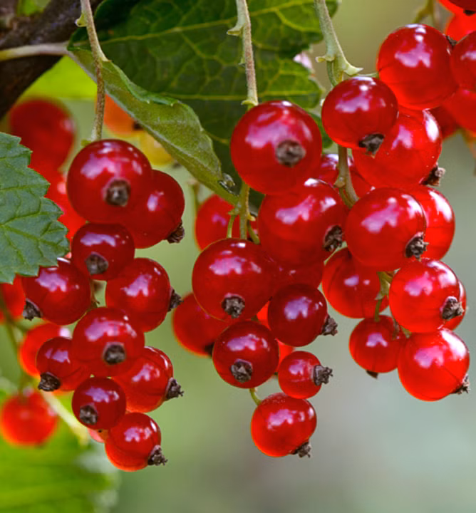 b01ec501cb918402d5a8ee27db9337d2