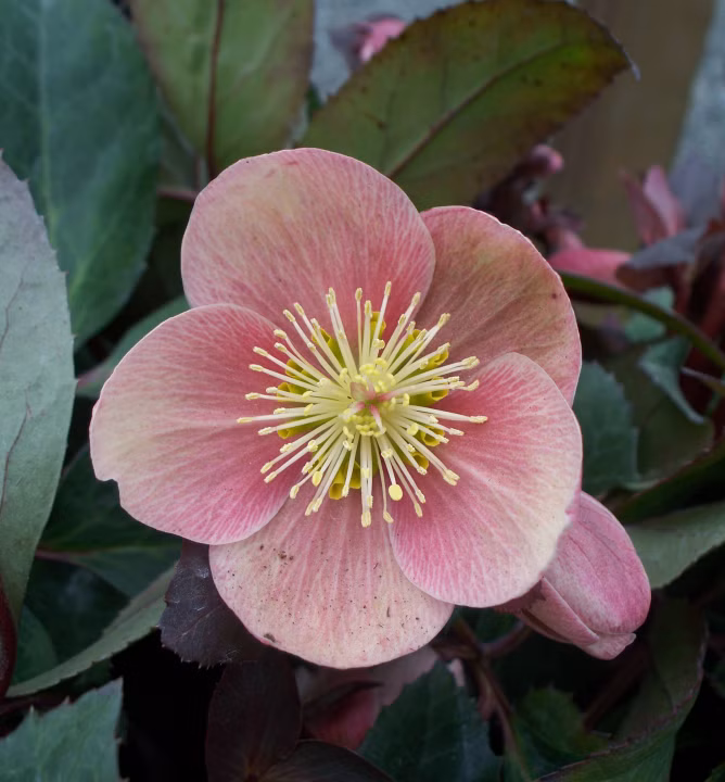 b021810a12cd111766524a9db368fa24