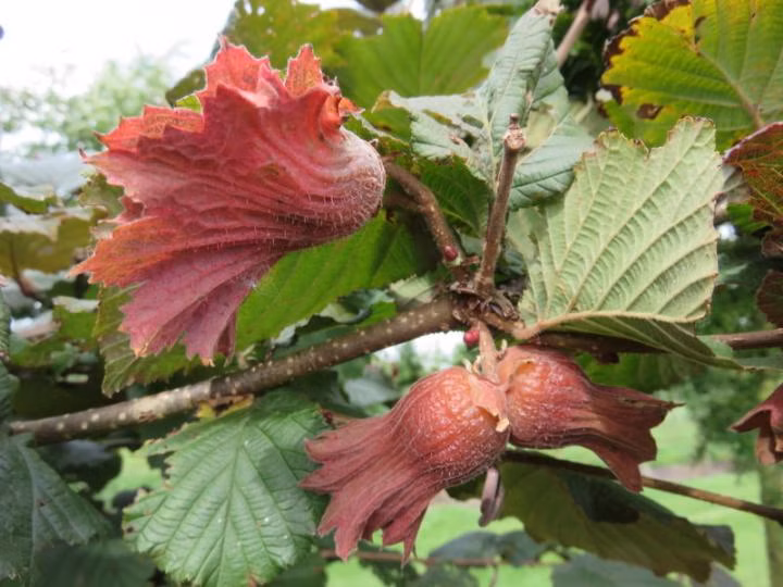 b06675c8fe0532f23a5e76f392b995c1