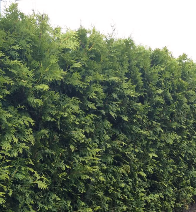 b079d2fb218353c38e1eb442029cbb70