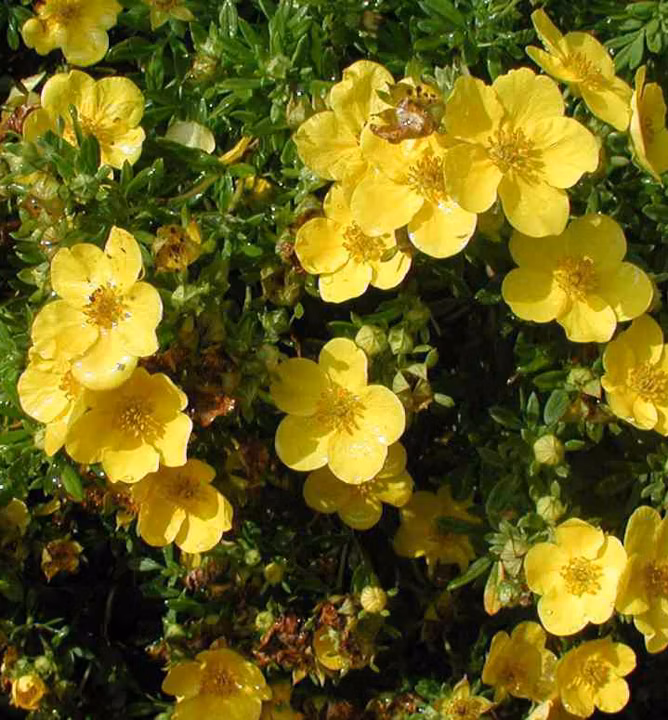 b0998a37b526b350c0d216739f6cc124