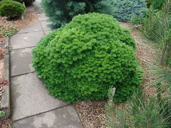 b0c4e4f244f40a1b808764f78b2c2d16