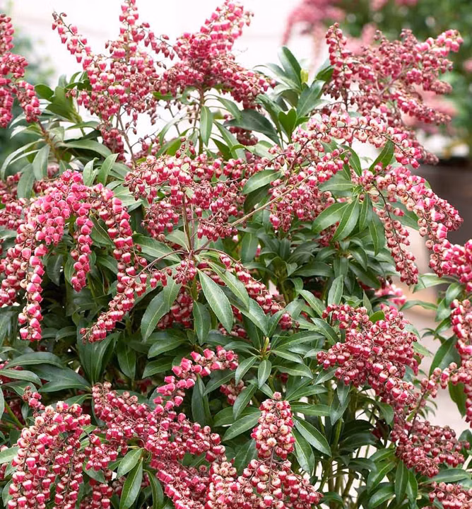 b0d447fe67c38b143905be137f1c838c