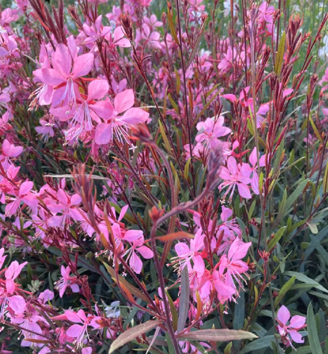 b0dc060122c9fca884b66bc69cf1209f