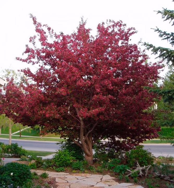 b1047cd9fd89f307a50f8e005b726b6c