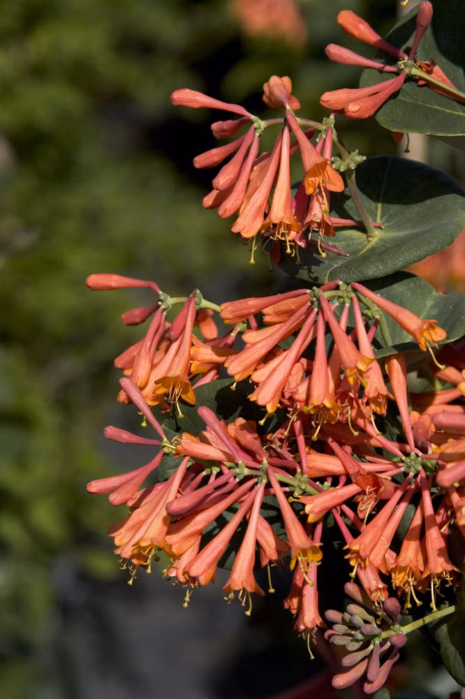 b14c2e6c15e8c917a78a2032a04c2a78