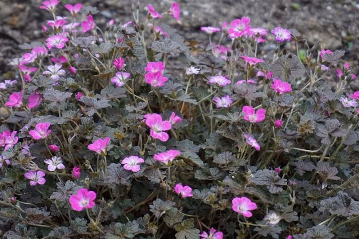 b14dbeb91c6372e1854d818907bdda64