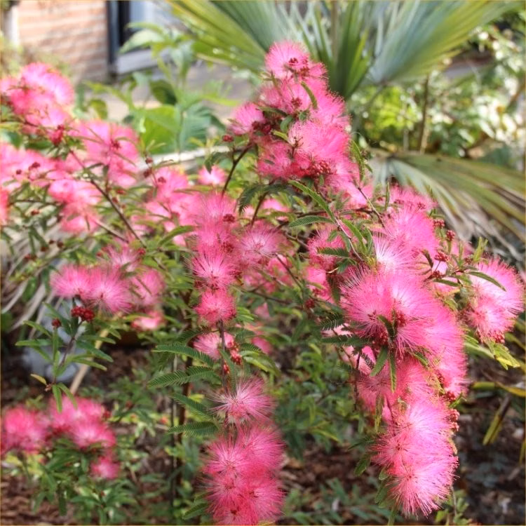 b16bbf6d154f4c5b597042468146458c