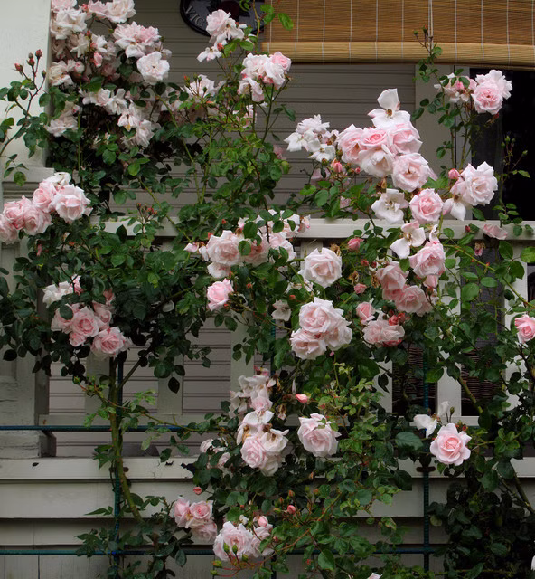 b1e3de8c2fc42a36430b8a4bd9e6c181