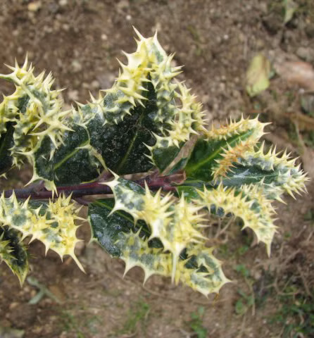 b1e92d021c53f270451f7c3b7b666fdb