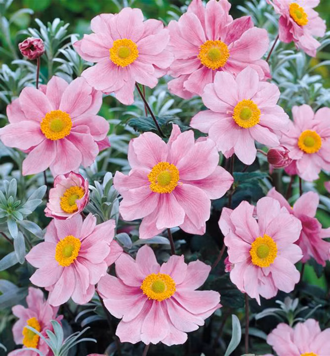 b20d29c06f072bbdea2a58493775ad9d