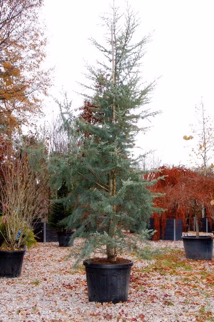 b238143fab00670a53f040a4325b9019