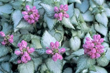 b26750fbeee0ca042667b6513c9d5714