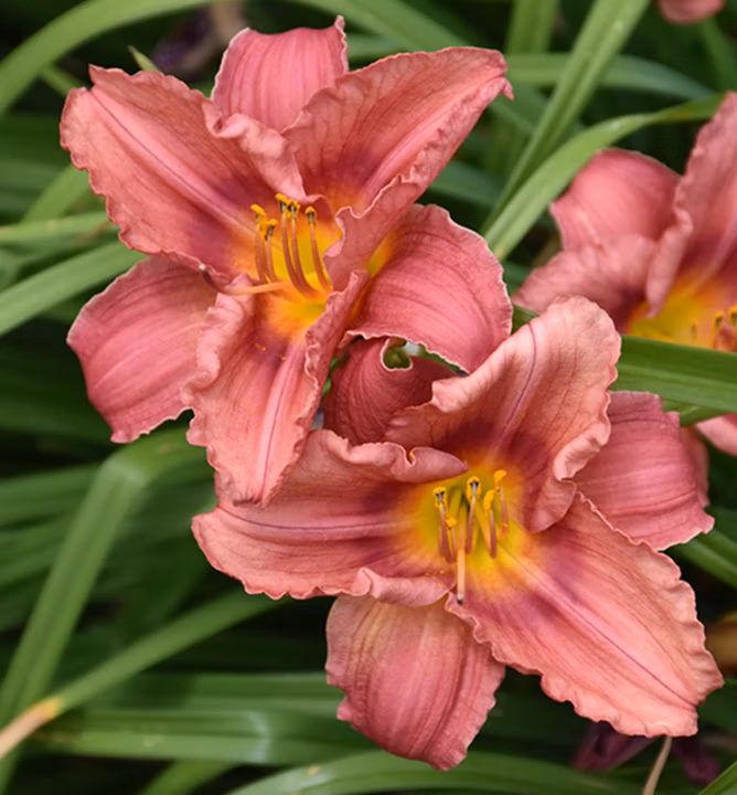 b292296371f3c90cab47d508c243ce85