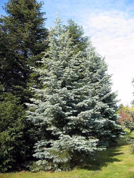 b2a1177eed20599907a316585fd929c7