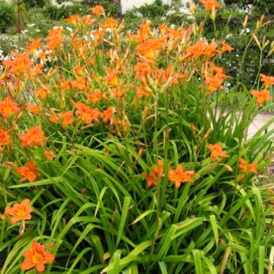 b2cd202bb3cf4910c6728f2582bf26cb