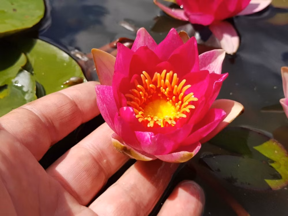 b31fdf80a3ae9a52d0ab2c1a9c9d5fb9