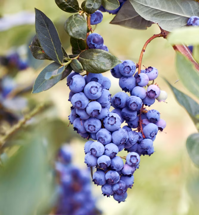 b347db22e326de78c61174f7283007ad