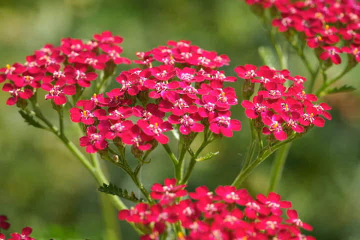 b362263ee8b07cdef0eded3a7ac000b9