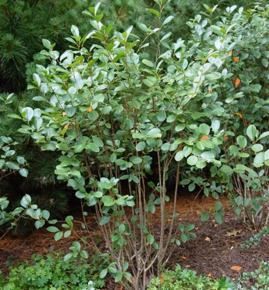 b38c423bfab887f66d6dcb8e8b4cf275