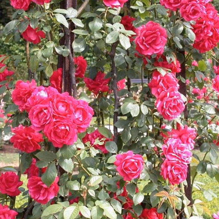 b390191a337f9a6ad06bc0b41904c334