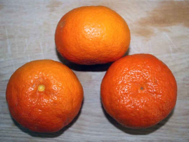 b392e8d2bfbd05f79ad65f800a53c60d