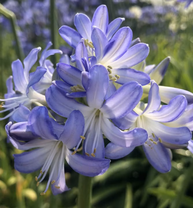 b3bb9cc42cad664722ff2fadb3e5f598