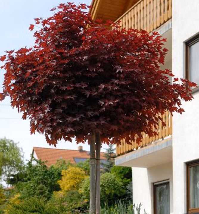 b3df3047f50845dafcd8dc50fa5475b1