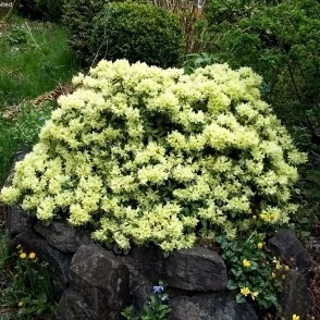 b3f4ec18d20538721cdc4dc21253c2fd