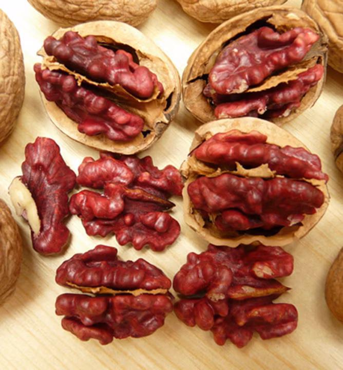 b401a347ebc601631ea882a4ffa21fd1