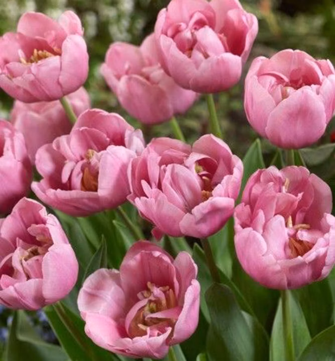 b414915b3400a3aee5f4e42b5a372282