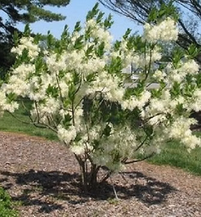 b427af30dd84ed8d59a2465677558771