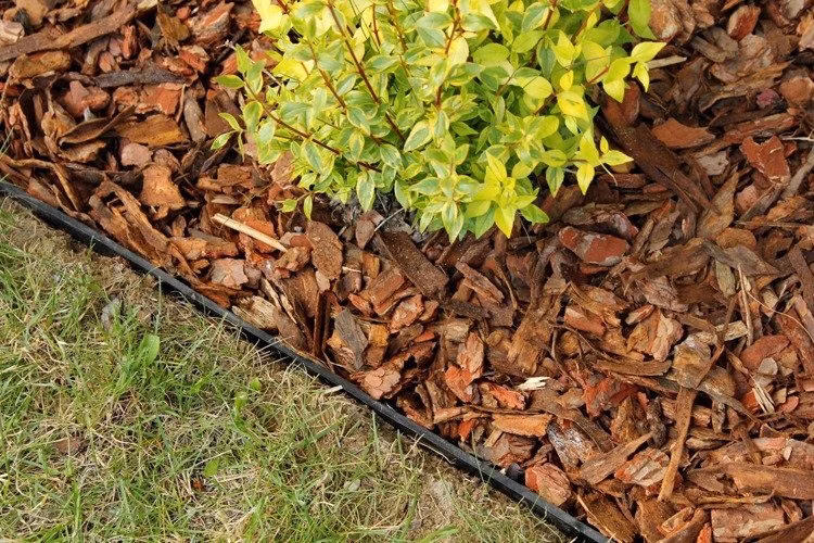 b438c7db9ac4c97c6858c21e7e3bf412