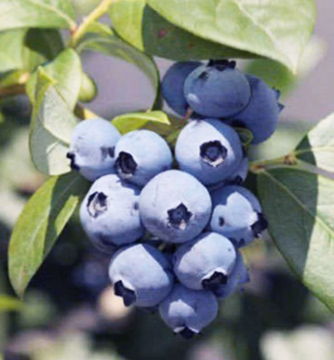 b46fe1b94e2fe3653cdea58a2d87c329