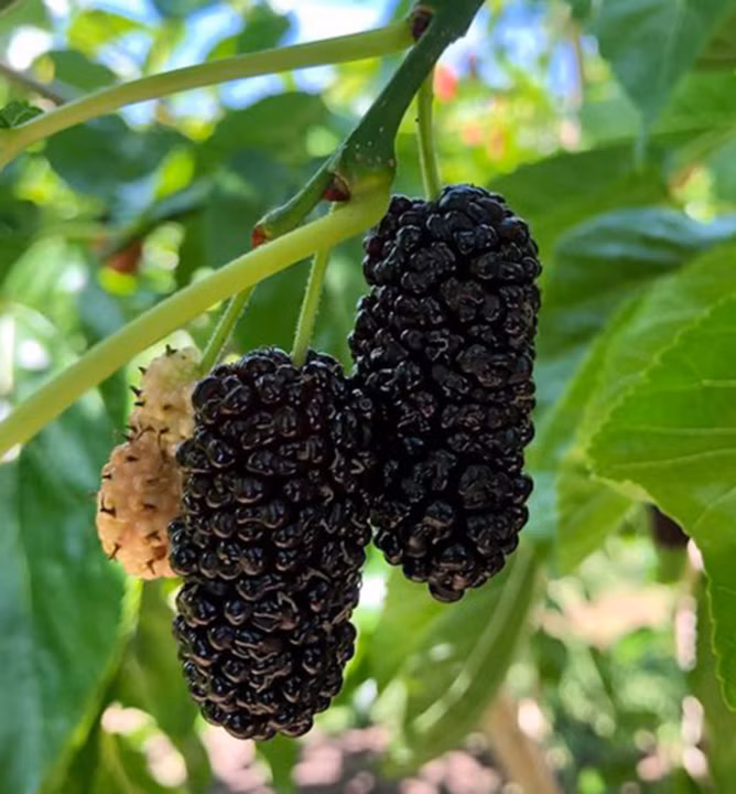 b47d3346858e06a310f70986ba029129