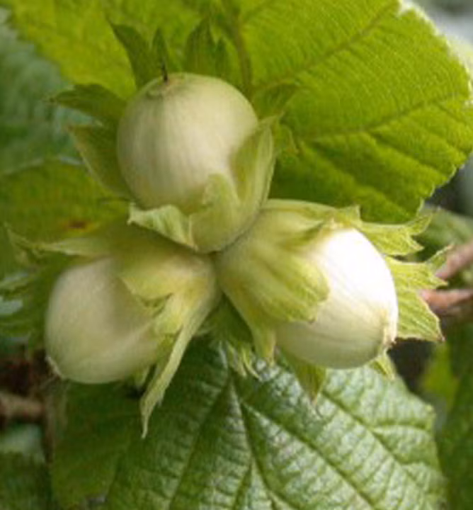 b5160043d2ed41d8f39acb1f30b081ff