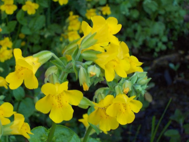 b54037eb57af1fd087f680a81affd2bc