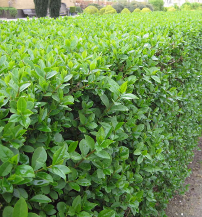 b560872abe731b1be19e2aa207c808de