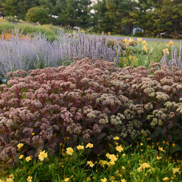 b5938a799022bb5f407eecaca7443f8a