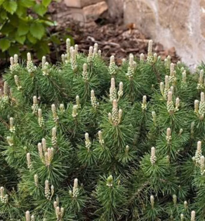 b5bc1061c3d05d1279281876b51d8cb7